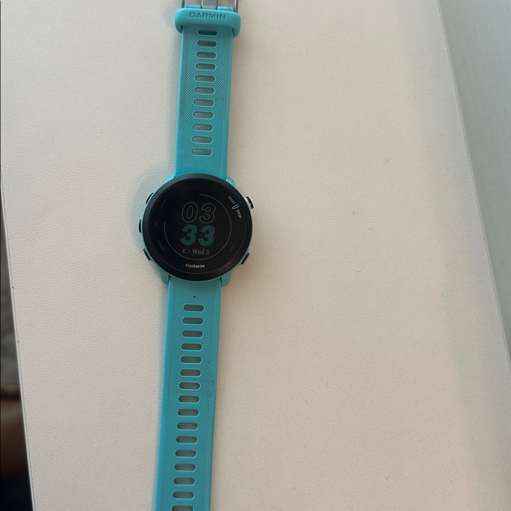Garmin 165 forerunner  Watch